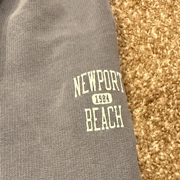 Brandy Melville Slate Gray Newport Beach Fleece Joggers - Picture 2 of 3